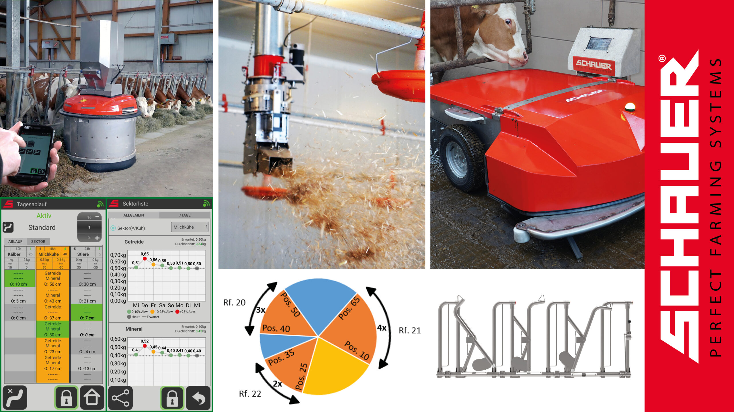 Collage-Neuheiten-Rind-25-NEU